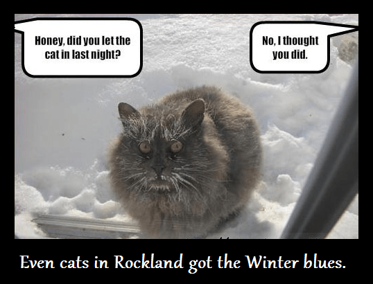 rockland cats